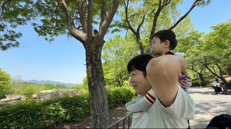 아기랑 첫 동물원 투어! 서울대공원 나들이 이용시간·요금·푸드코트·동선추천 총정리