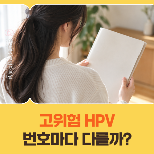 HPV 고위험 유형 바이러스 번호? '이 번호'면 따로 봐야 해요