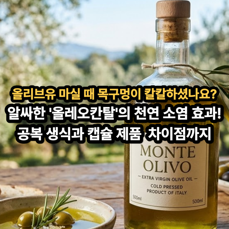 올리브유 효능과 부작용! 엑스트라버진 공복 생식 vs 캡슐 비교 및 가열 주의사항