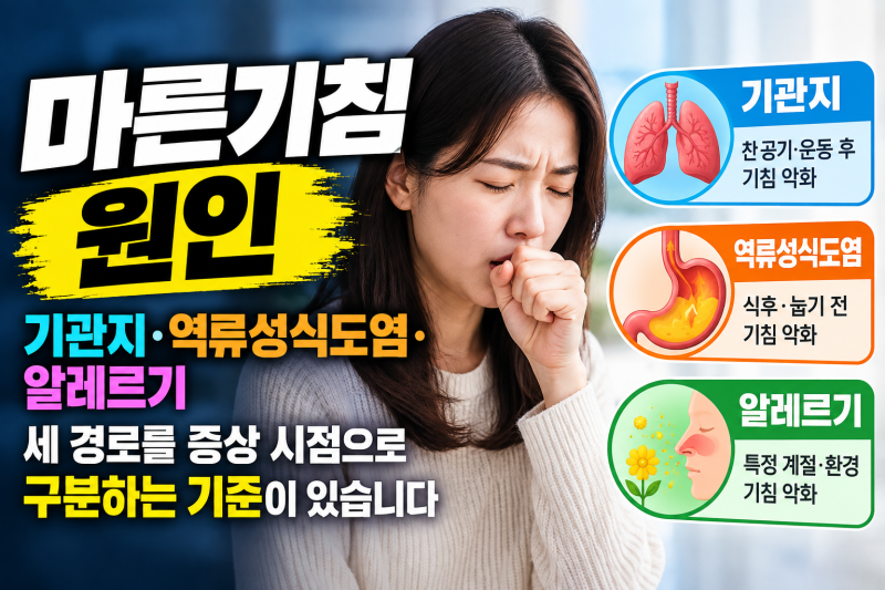 마른기침 원인 — 기관지·역류성식도염·알레르기 세 경로를 증상 시점으로 구분하는 기준....