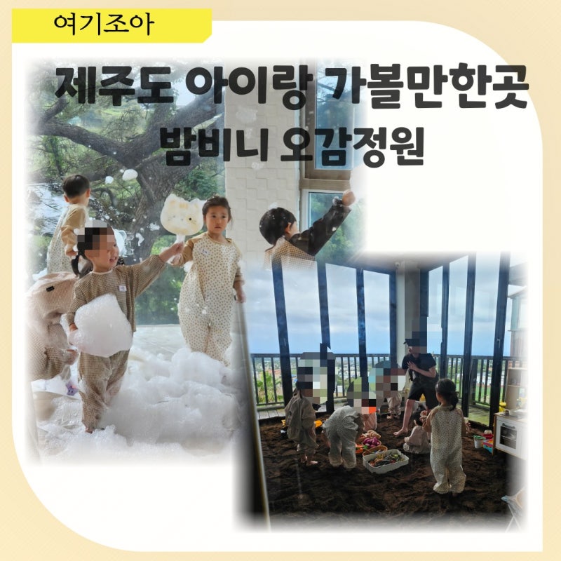제주 아이랑 가볼 만한 곳 밤비니 오감정원｜ 버블·흙놀이 제주도원데이클래스