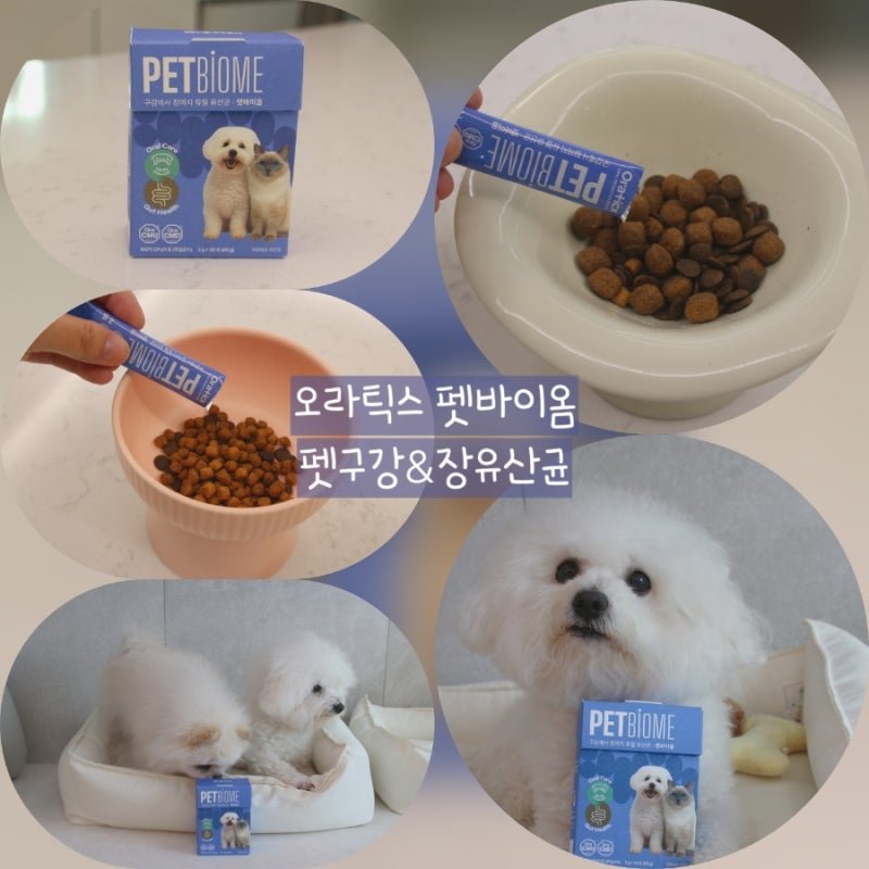 강아지 입냄새 관리!오라틱스 펫바이옴 구강&장 유산균 먹여본 후기!