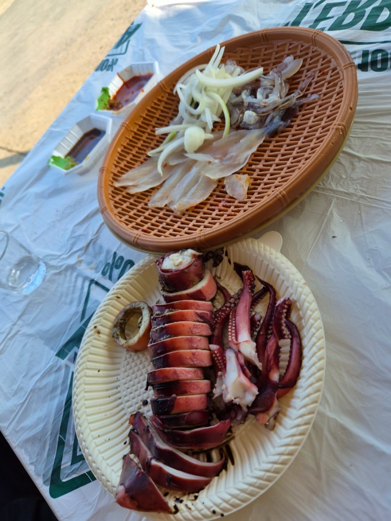 Sokcho Squid Market: Prices, Hours, No. 12 Ilgwangho and Hanheungho - Even 2 Squids Possible, Recommended Steamed Whole Squid