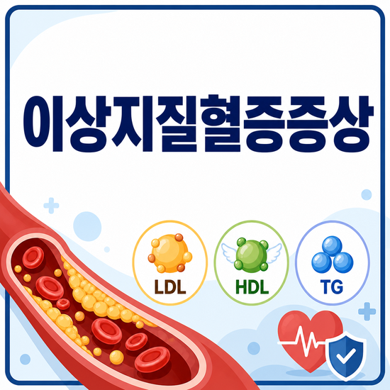 이상지질혈증 증상, 몸의 신호보다 검사 결과를 먼저 살펴야 하는 이유