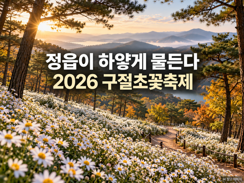 정읍이 온통 하얗게 물든다｜2026 구절초꽃축제 일정·입장료·주차 총정리