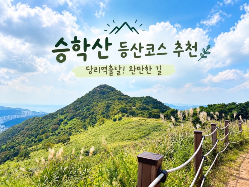 부산 승학산 쉬운 등산코스, 당리역3번출구→2-1번 마을버스→동원2차→정상