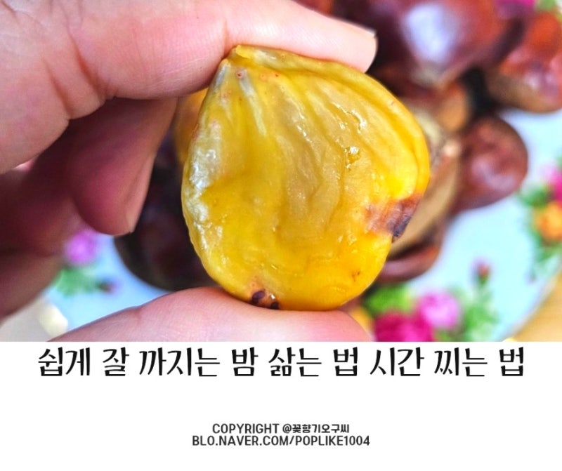 쉽게 잘 까지는 밤 삶는 방법 찌는 법 시간 밤 칼로리