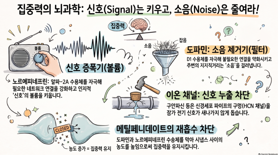 오브한의원 임상 칼럼