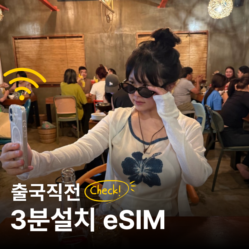 필리핀 보홀 이심 추천 | 출국 직전에 준비한 플릿 이심