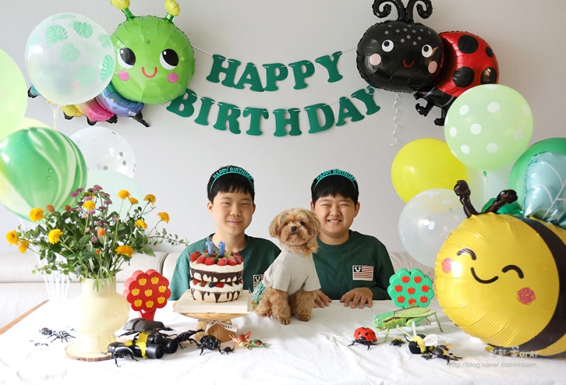 뚜비의 11살 초등 생일잔치 꾸미기_곤충 생일파티