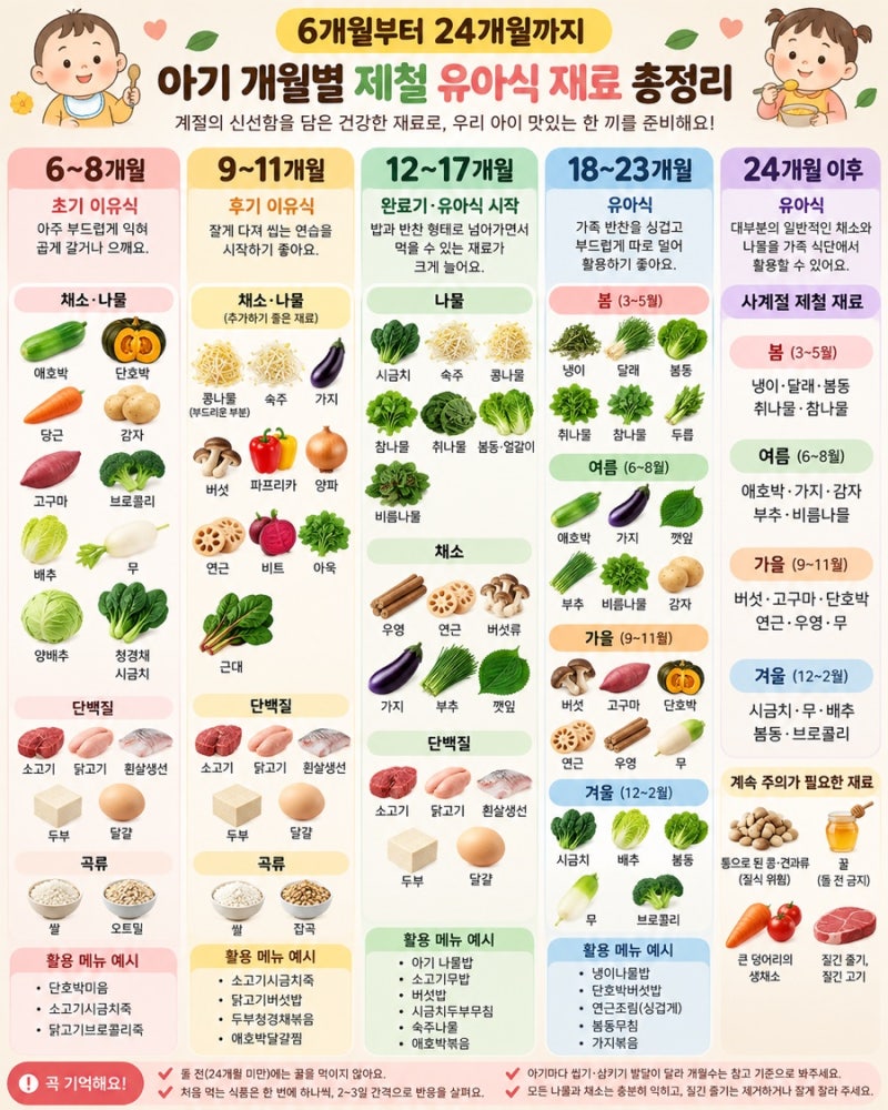 초기 이유식 재료부터 유아식 재철 반찬까지｜개월별 유아식 가이드