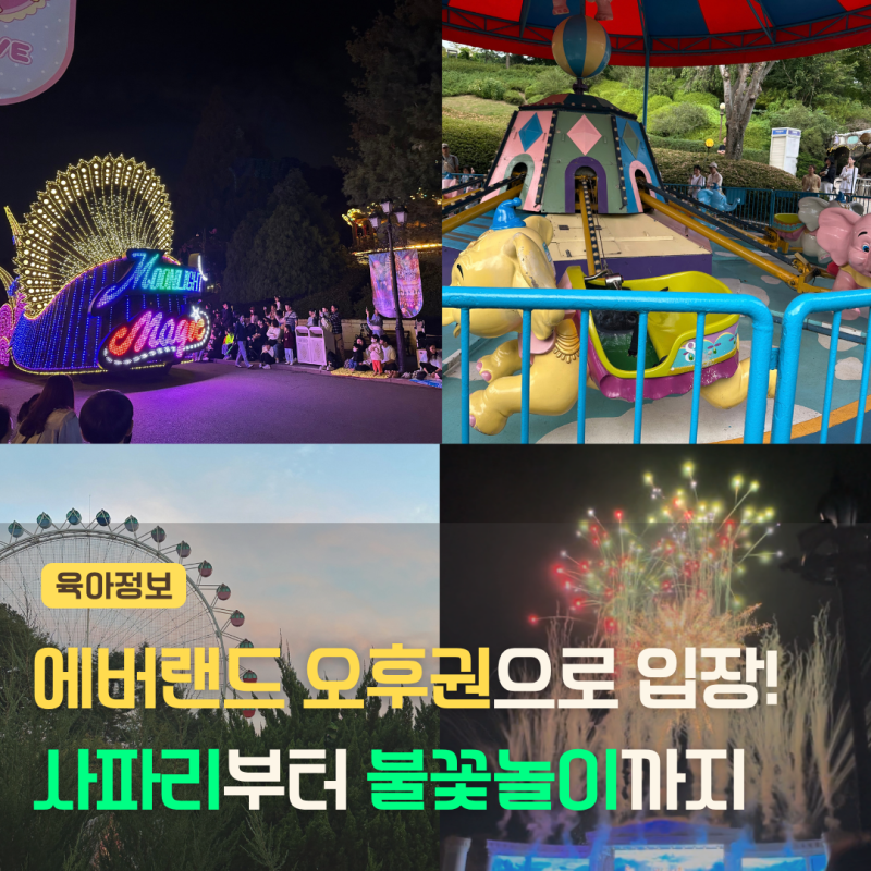 에버랜드 오후권 할인 사파리, 퍼레이드, 불꽃놀이까지 모두 즐기는 꿀팁