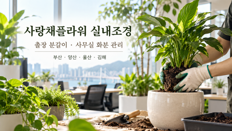 부산ㆍ울산 ㆍ양산ㆍ김해 출장분갈이 /사무실ㆍ까페 화분관리 /실내조경