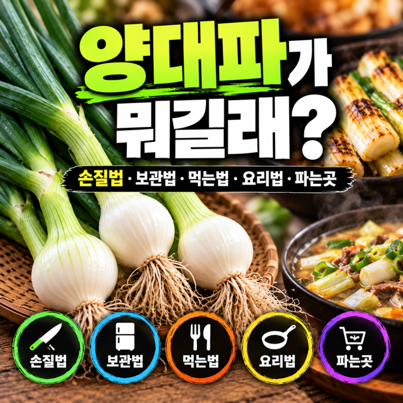 양대파가 뭐길래?｜손질 보관 먹는법 요리 파는곳 총정리 "밑동·줄기·잎 버릴 게 없습니다"