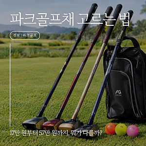 파크골프채 고르는 법｜입문용부터 50만 원대까지 가격별 추천
