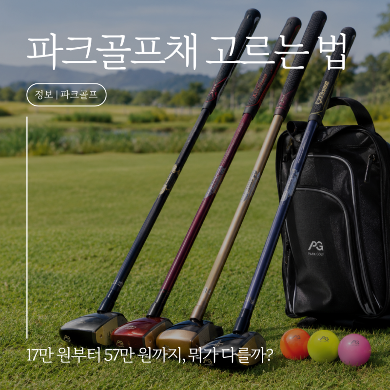 파크골프채 고르는 법｜입문용부터 50만 원대까지 가격별 추천