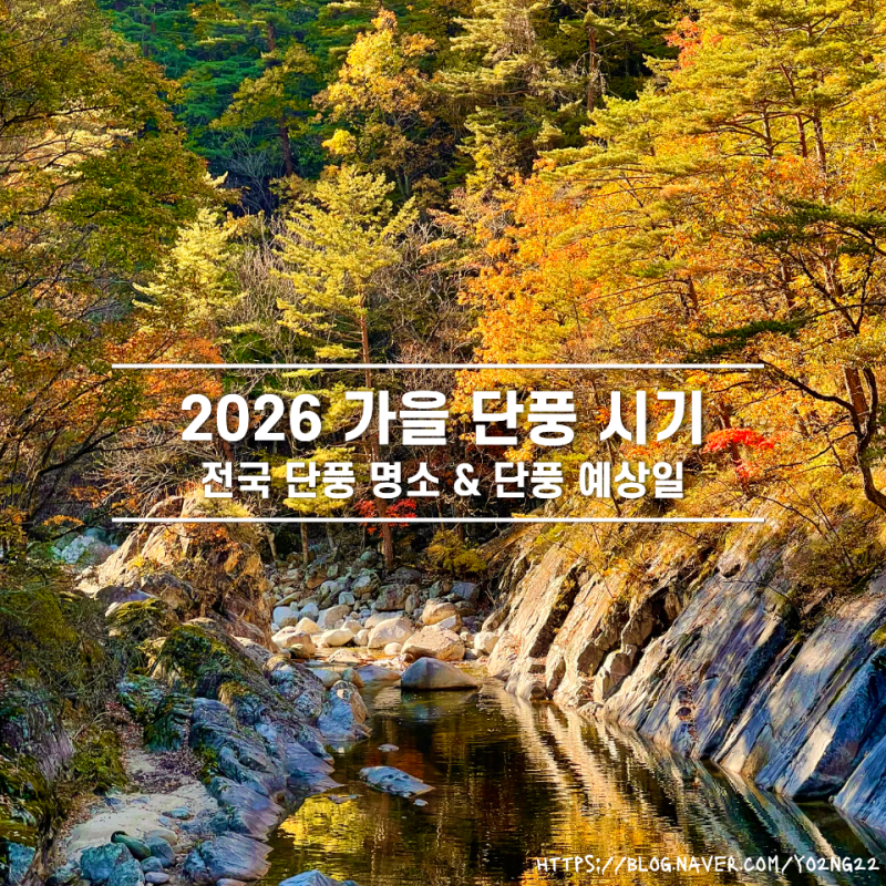 2026 전국 단풍 지도 단풍 절정 예상일 총 정리 가을 단풍 여행 어디로 갈까?