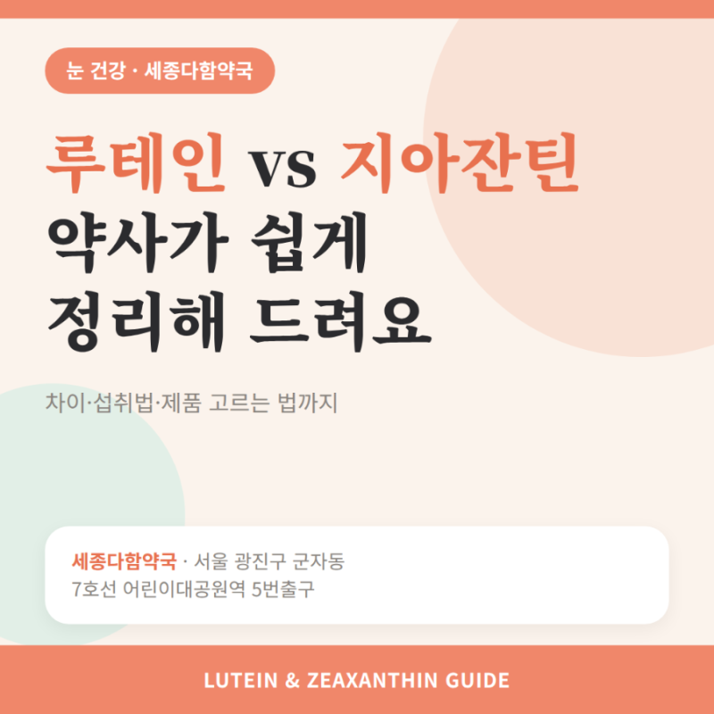 루테인 지아잔틴 차이, 눈 영양제 고를 때 약사가 꼭 보는 3가지