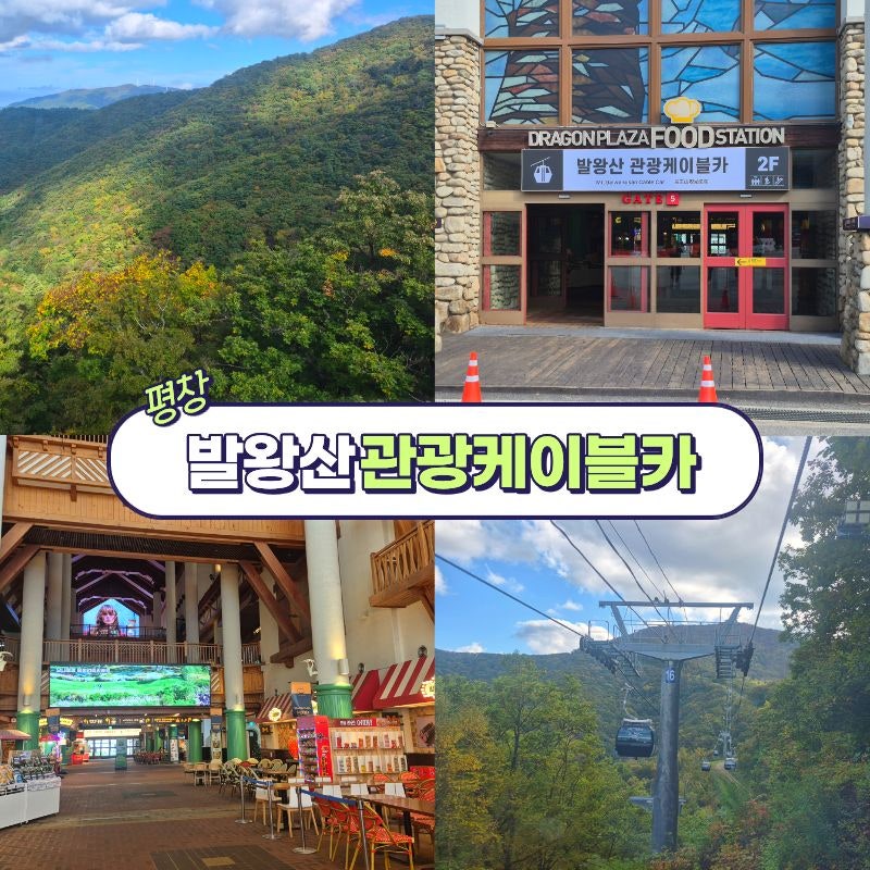 평창 가을 여행코스 국내 최장 7.4km 모나용평 발왕산 관광케이블카 가격정보와 탑승 후기