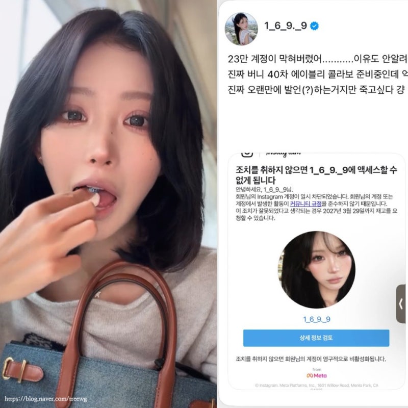 최준희 23만 인스타 돌연 삭제, sns 계정 차단 이유가 뼈말라?(최진실 딸)