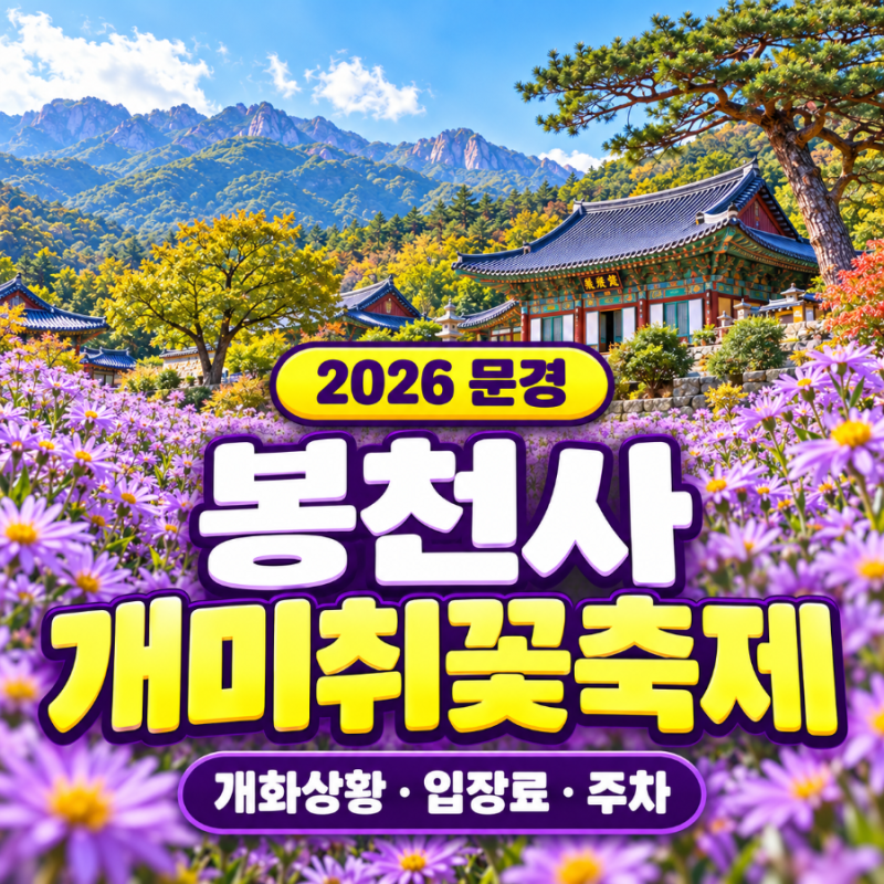 2026 경북 문경 봉천사 개미취꽃축제 개화상황 입장료 주차 숙소 추천