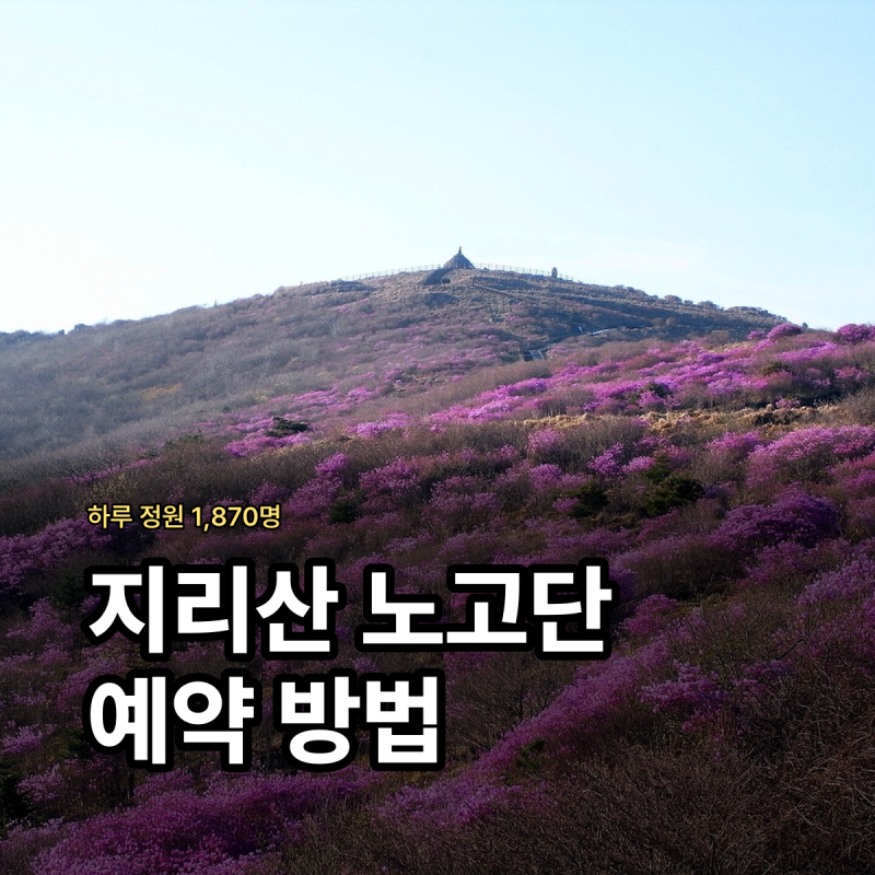지리산 노고단 예약 방법 입장 시간 정원