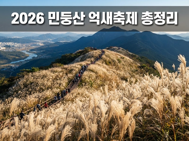 민둥산 억새축제 최단코스, 억새 절정시기, 주차, 강원도 가볼만한 곳