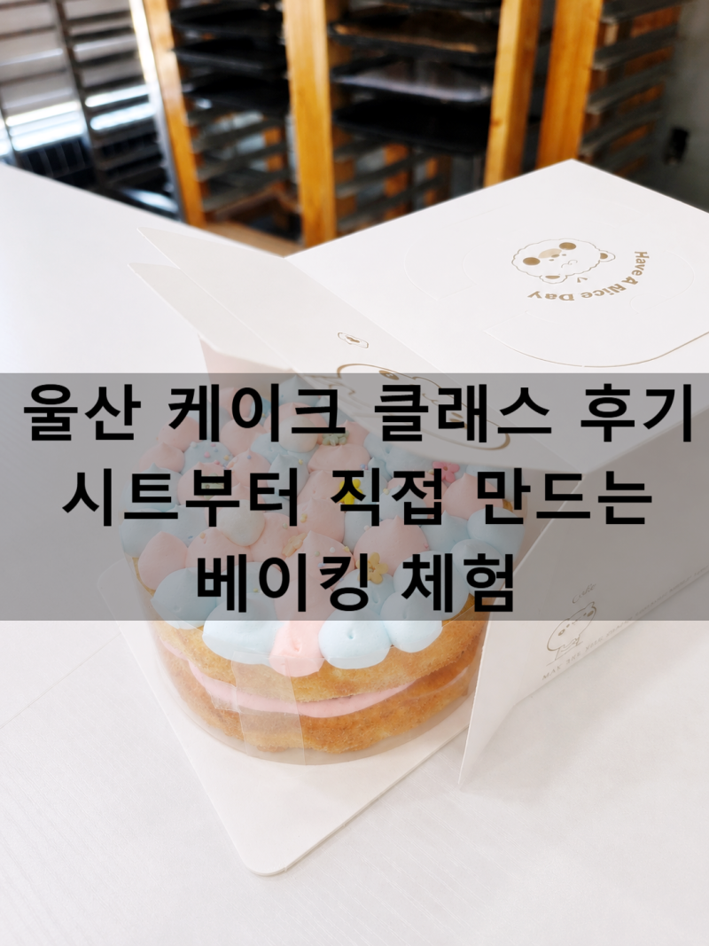 울산 케이크 클래스 후기 시트부터 직접 만드는 베이킹 체험!