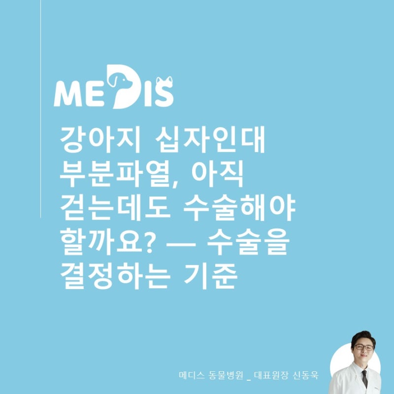 [수의사의 진료실 노트 #0143]강아지 십자인대 부분파열, 아직 걷는데도 수술해야 할까요? — ....