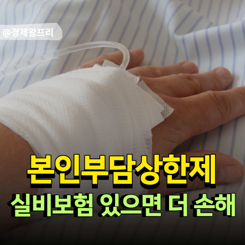 건강보험 상한제 사후환급금 실손보험 차감 기준