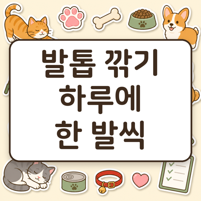 고양이 발톱 깎기, 열여덟 개를 한 번에 하지 말고 하루 한 발씩