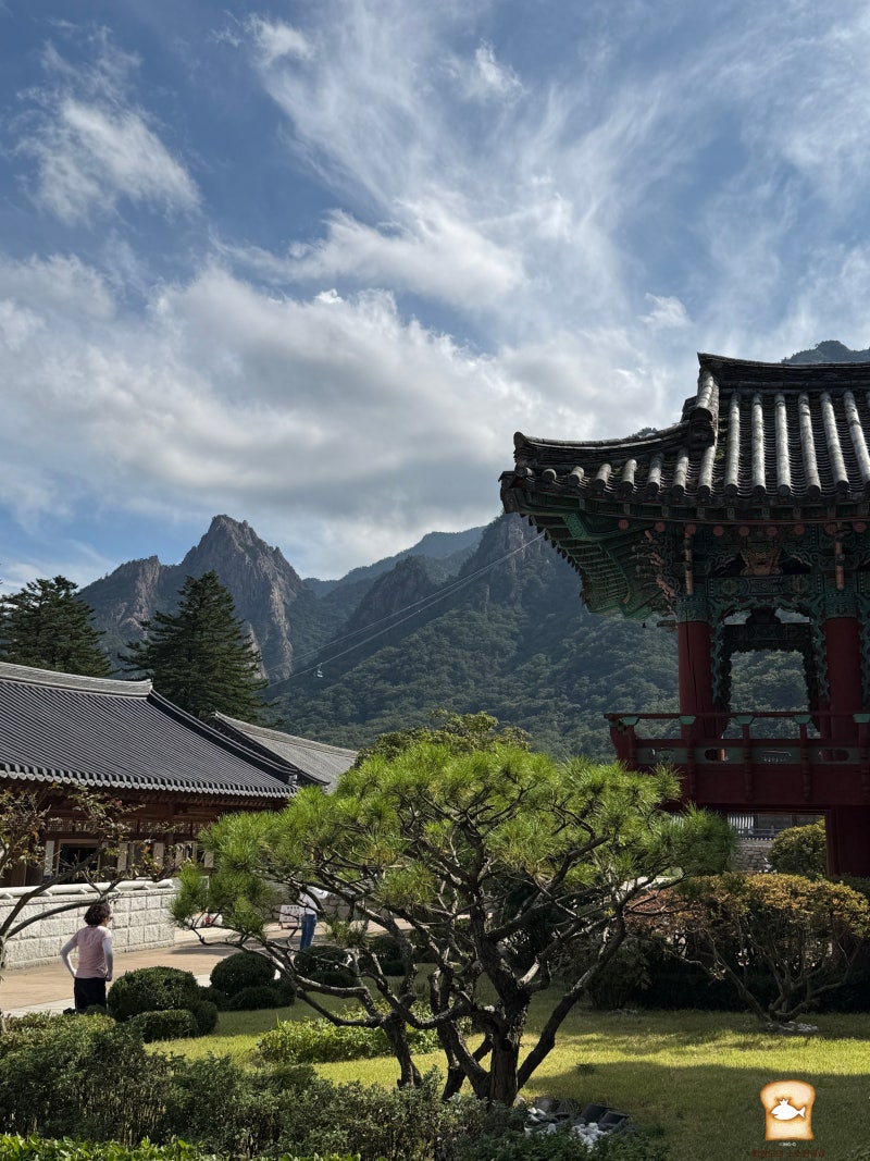 10월 설악산 국립공원 산책코스 주차요금 신흥사 다녀온 후기