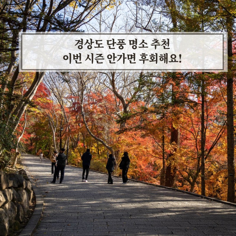 경상도 단풍 명소 추천 숙소 가볼만한곳 BEST 4