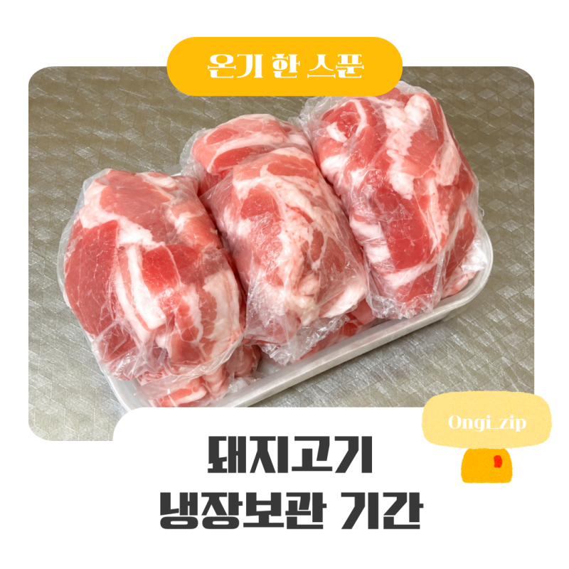 돼지고기 냉장보관 기간 며칠일까 종류별 보관법 정리