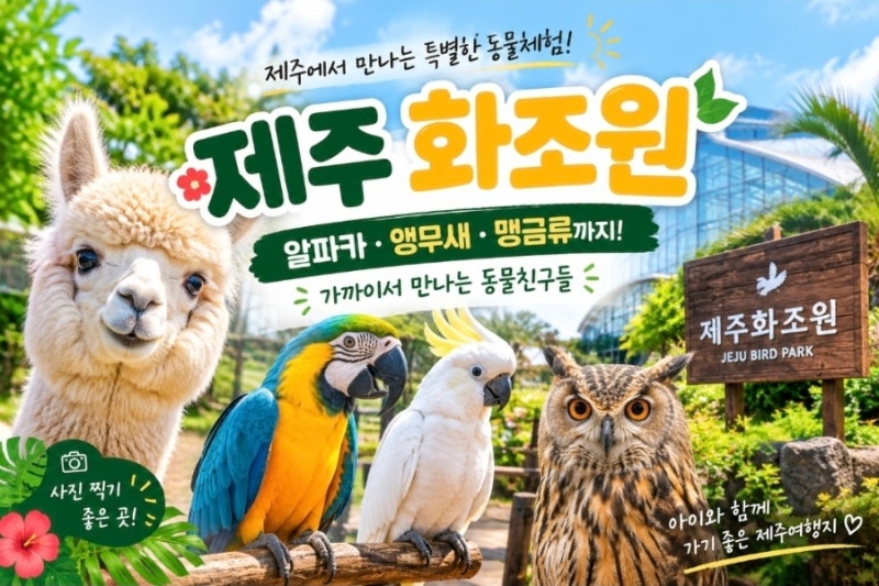 제주 화조원 입장료·공연시간 총정리｜알파카·앵무새 먹이주기 체험