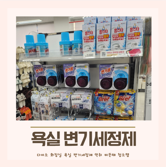 내돈내산 다이소 화장실 욕실 변기세정제 악취 찌든때 청소템