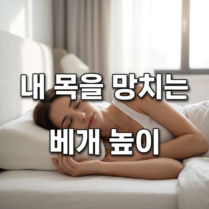 거북목 일자목 완화하는 기능성 경추 베개 높이 측정 기준 및 올바른 수면 자세 추천