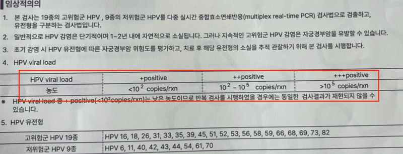 HPV바이러스 원인 증상 [치료 / 검사 / 사마귀] 58, 53번