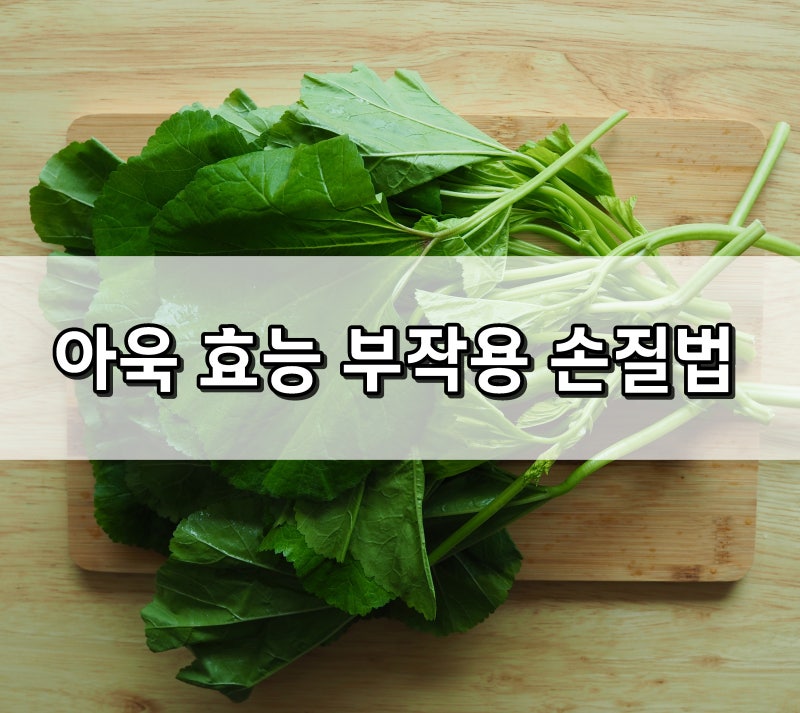 10월 제철음식 아욱 효능과 부작용, 아욱 손질법