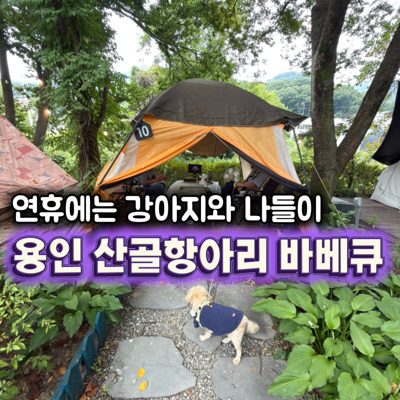 [용인 맛집] 연휴에 강아지와 가기 좋은 용인 고기리 맛집｜산골항아리바베큐 야외 바베큐