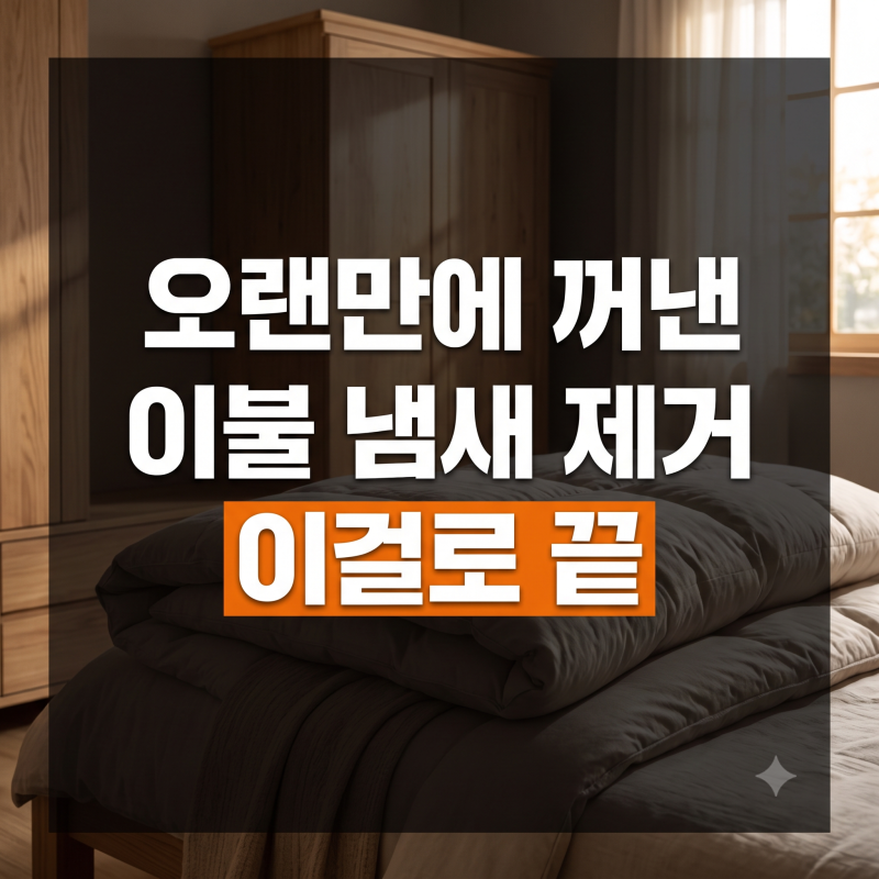 오랜만에 꺼낸 이불 냄새 제거법 직접 해보고 정착한 꿀팁