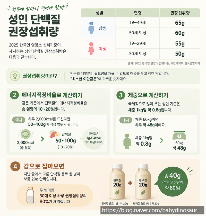 단백질 많이 먹을수록 좋을까? 하루 적정량과 과다 섭취 부작용