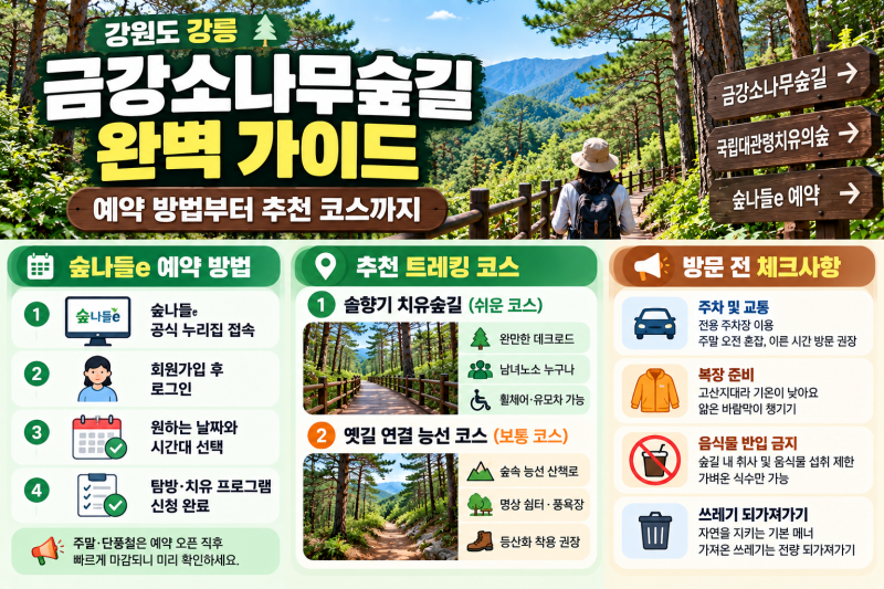 강릉 대관령 금강소나무숲길 예약 방법과 치유의숲 트레킹 코스 총정리
