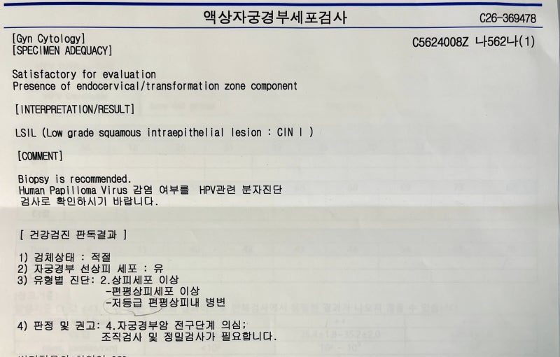 자궁암 검사결과 ‘자궁경부암 전구단계 의심’이라니...｜상피세포 이상(LSIL)소견과 HPV 검....