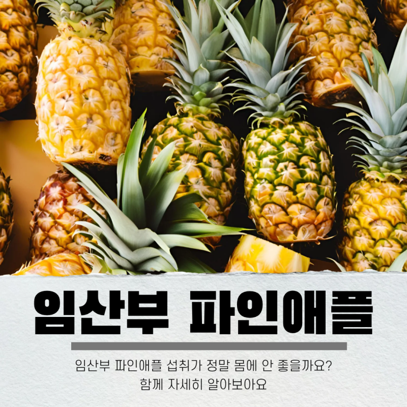 임산부 파인애플 효소 효능과 적정 섭취량, 통조림이나 식초는 먹어도 되나요?