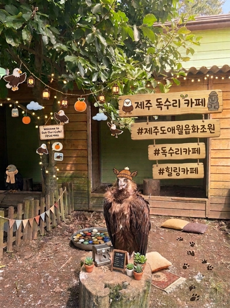 제주 애월읍 아이와가볼만한 곳 / 자연이 주는 동물원[화조원]
