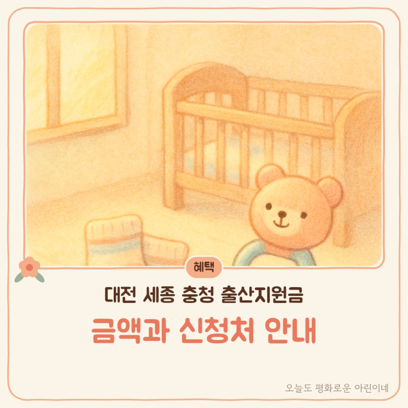 대전 세종 충청 출산지원금 금액과 신청처 안내