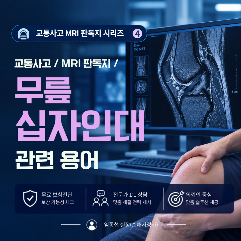 [MRI ④편] 무릎 십자인대(전방·후방십자인대) MRI 판독지 핵심 용어 정리