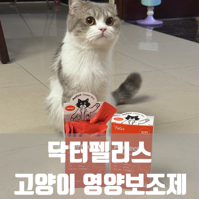 ‘닥터펠리스’ 퍼펙트 스틱 - 츄르처럼 간편하게 먹이는 미야옹철 고양이영양제