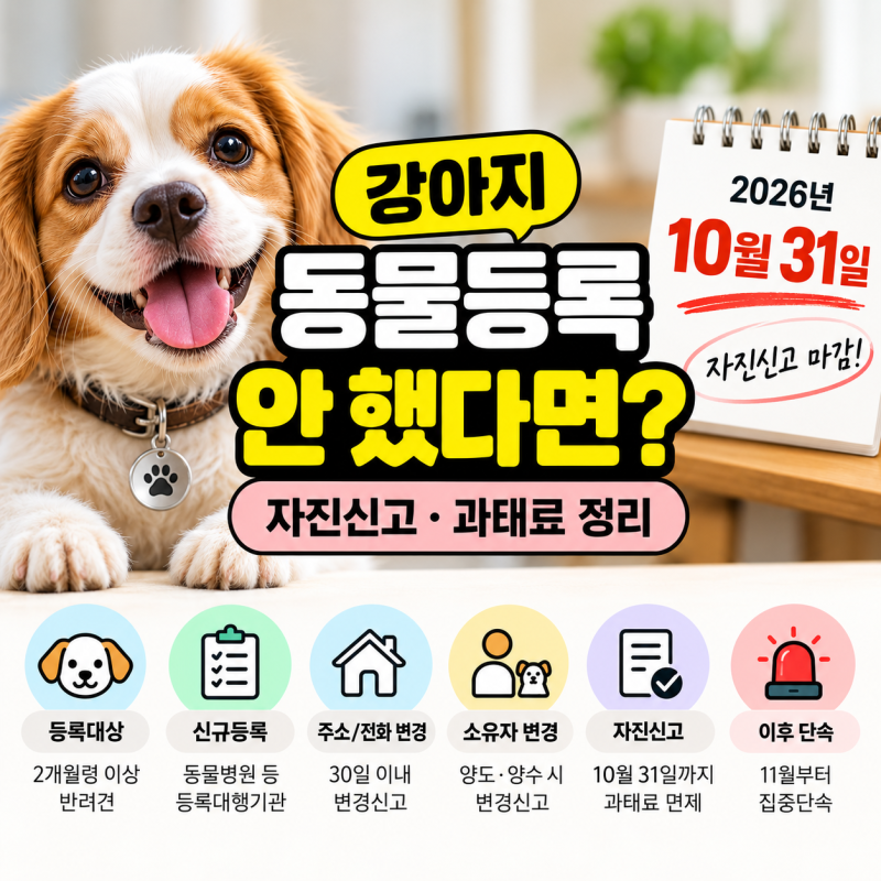 강아지 동물등록 안 했다면?｜10월 31일까지 자진신고·과태료